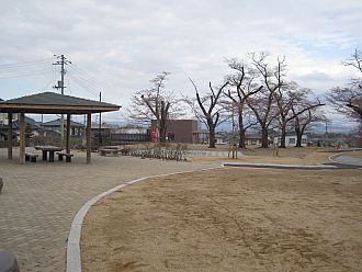 見える樹は全て桜！！今からわくわく♪