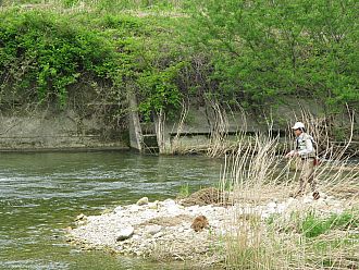 県外からのフライマン