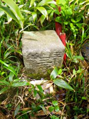 藪を漕いで辿り着いた某山の三角点(先日とは別の山)