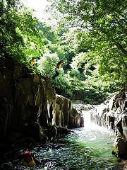 チキンクリフのダイブ