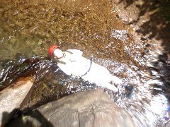 ドザエモン？（笑）