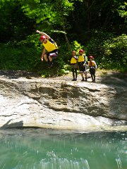 見事なパフォーマンス