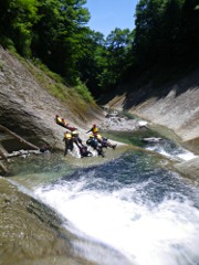 みんなで日向ぼっこ