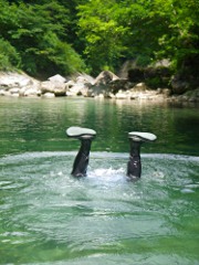お父さんが犬神家にチャレンジ！