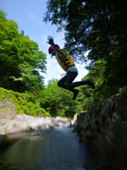 飛び込みがお気に入りのようです
