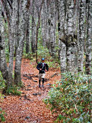昨年の様子（レース中盤）