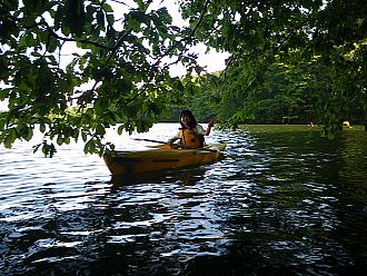 ジャングルクルーズ