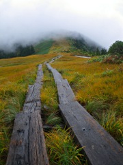 中門岳から会津駒ヶ岳に戻る途中