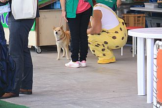 ぴいこ店長と挨拶を交わす石ちゃん