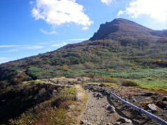 お花畑から見上げる磐梯山