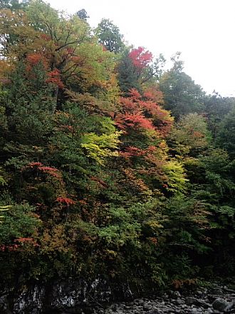 中津川の紅葉、３