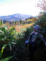 高山に登る途中、振り返ると真っ赤に染まった箕輪山が