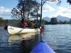 やったくぐれた