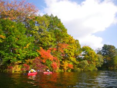 昨日のカヤック体験