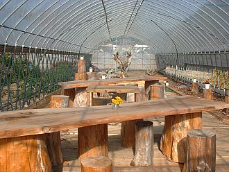 冬でも暖かいアトリウムKISSA。持ち込み可。温かいのでアイスクリーム（別売）がおいしい！