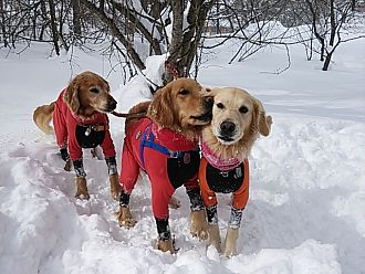 ワンコ達もありがとう！！(*^_^*)