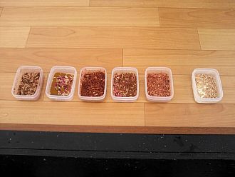 アレンジサシでの試釣釣行!!