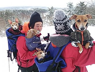 今日のリュックサック犬です (*^_^*)