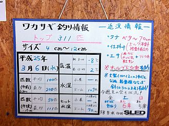 桧原湖白樺エリア　好釣果復活！！