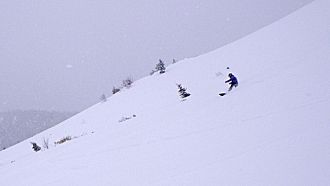 いいスプレーが上がってました。