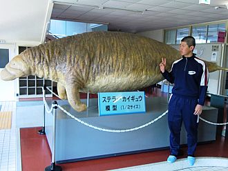 ステラーカイギュウ1/2 レプリカ