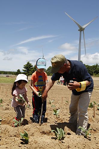 美味しいキャベツ育てよう