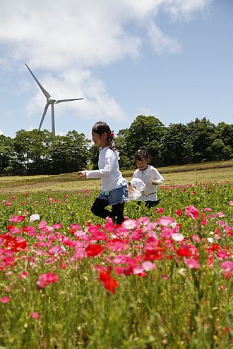 花と風車と子どもたち