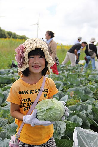 秋には大収穫