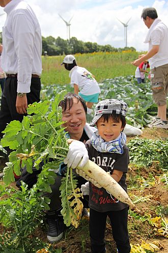 立派な高原ダイコンを親子で