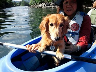 ワンコも一緒に遊べるよー＼(^o^)／