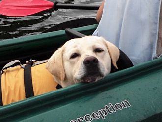 ワンコも一緒に遊べますよー　(*^_^*)