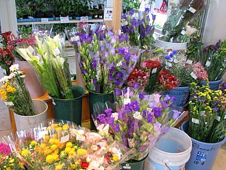 ダリアのほかにも切り花がいっぱい！