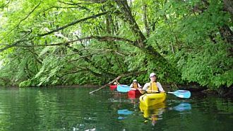 ジャングルクルーズ（22日午後のカヤック体験）