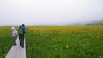 花盛りの雄国沼湿原