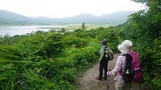 黄色一色に彩られた湿原を名残惜しそうに振り返る