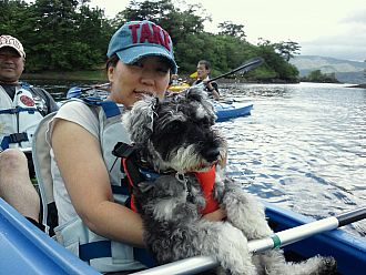 ワンコも参加できるワン！！