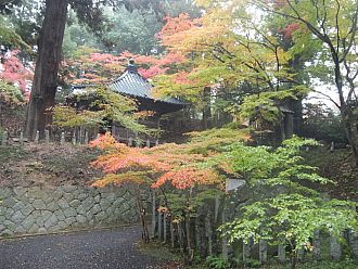 画像は現在のものではありません