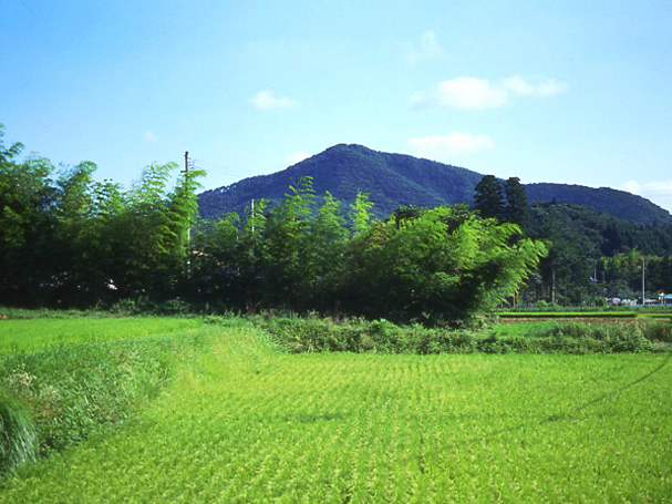 滝富士