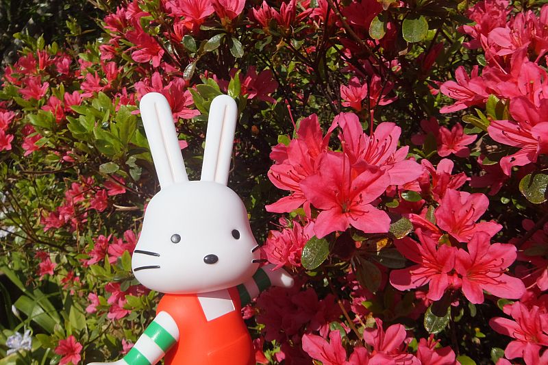 4月29日の様子です