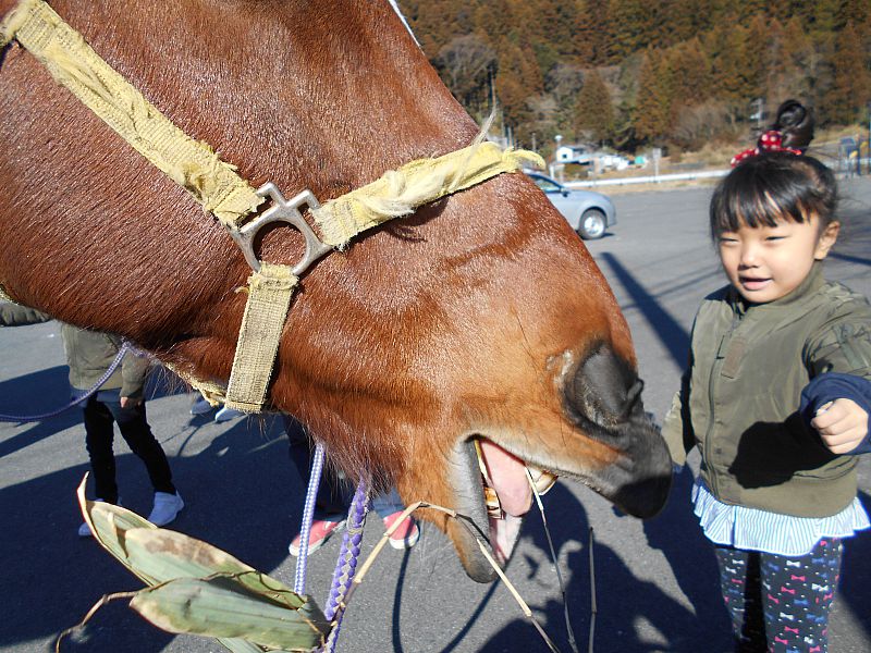 エサやりも楽しいよ！