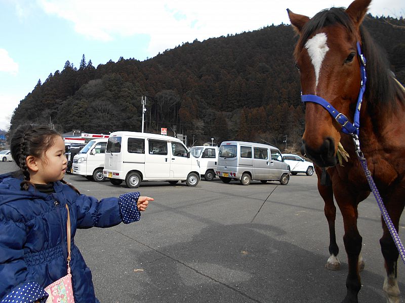 エサやりも楽しいよ！
