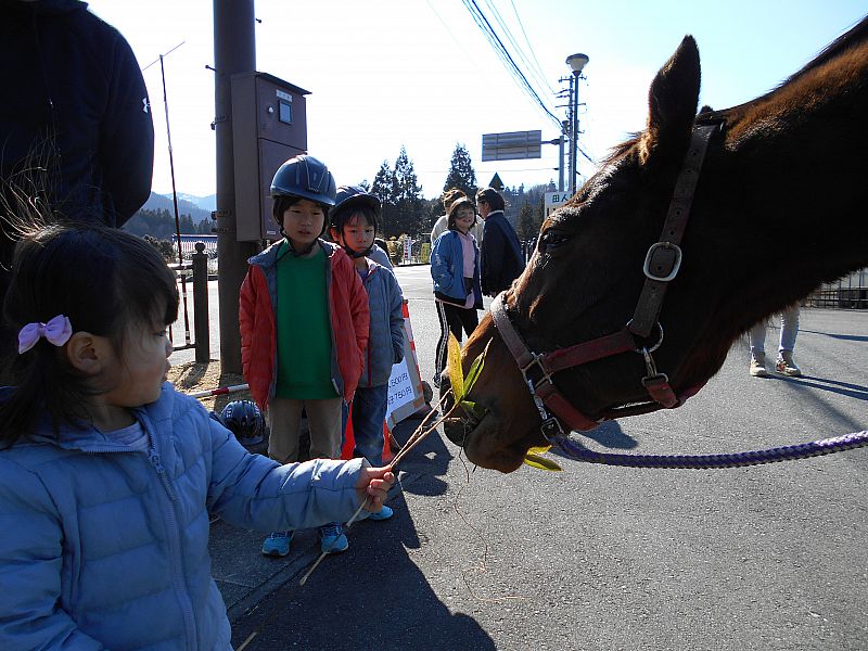 乗馬の後のエサやりも楽しい！
