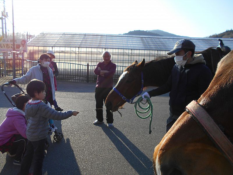 上手にえさやりできるかな？