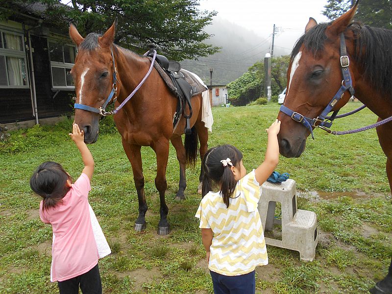 いいこいいこ、お馬さんなでなで♪