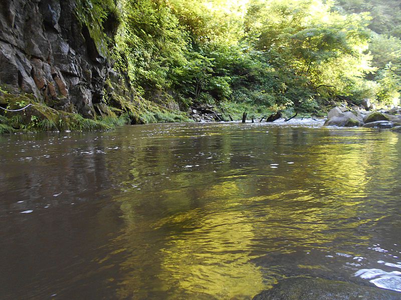 分校から徒歩３分のところにこんなにきれいな川が！暑い時は川遊びもイイ！