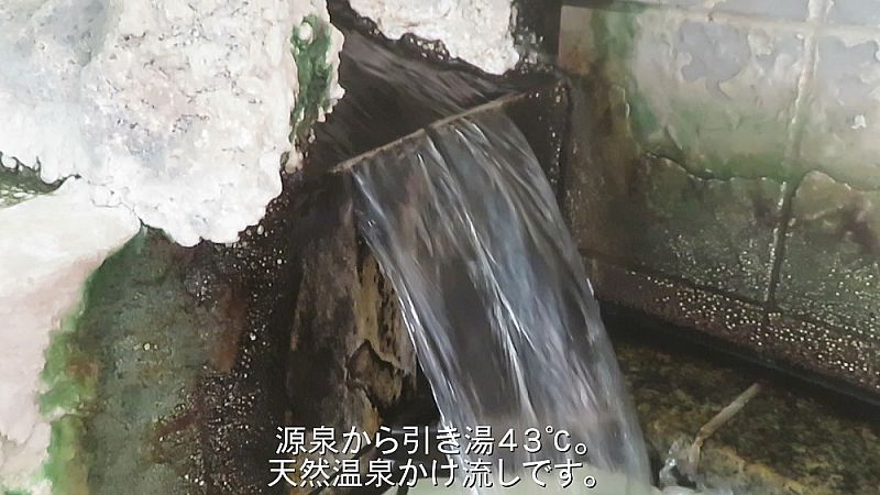 天然温泉高塩泉