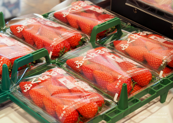 ※昨年開催時の様子です