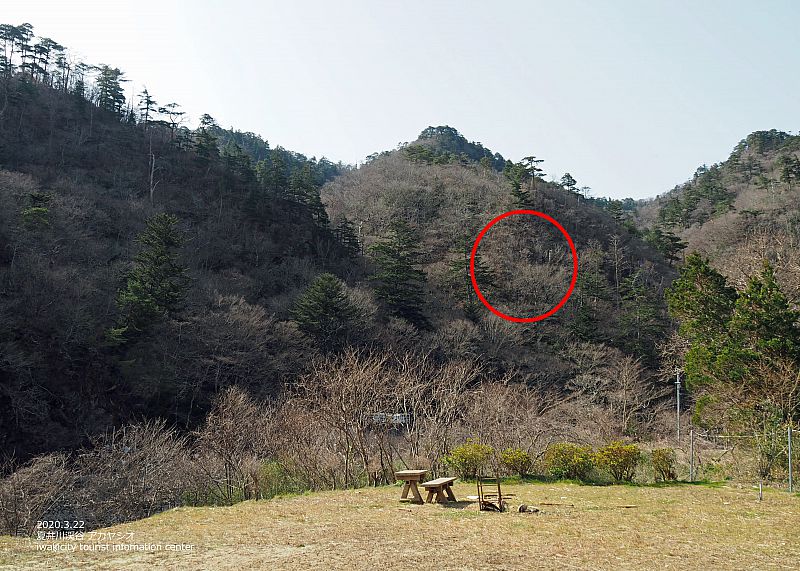 夏井川渓谷錦展望台