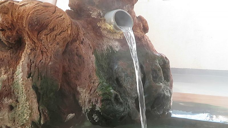 人気温泉