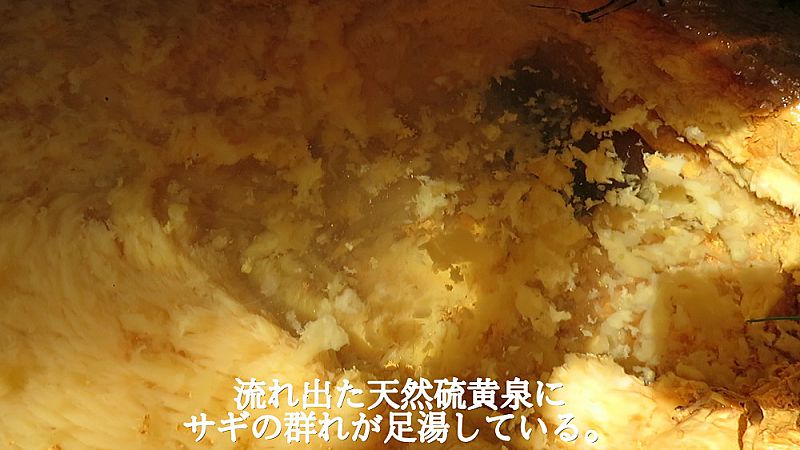 硫黄源泉